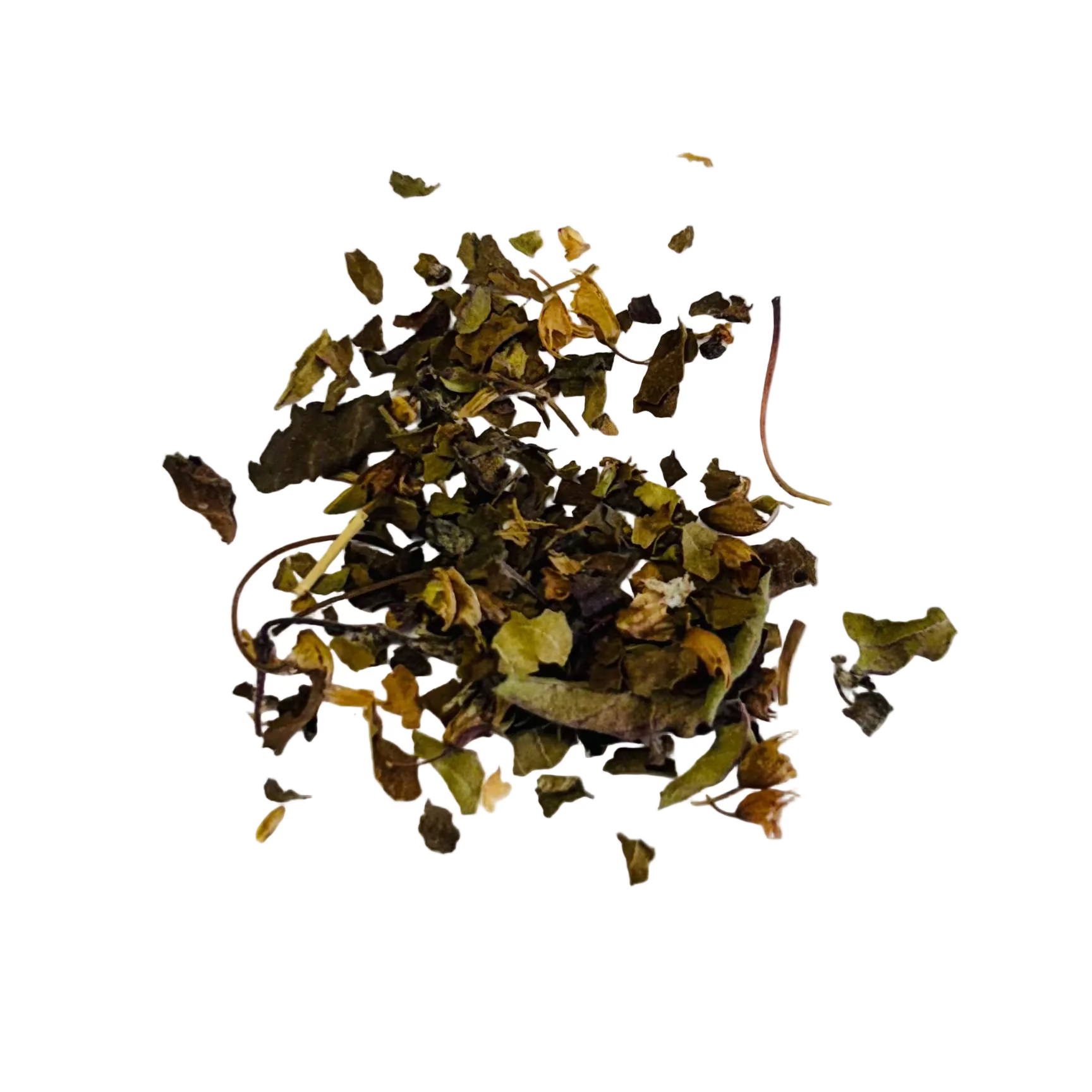 Tulsi