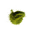 Matcha on white background