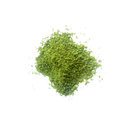 Matcha on white background
