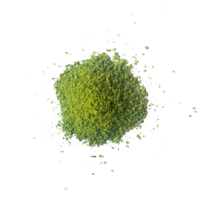 Matcha on white background