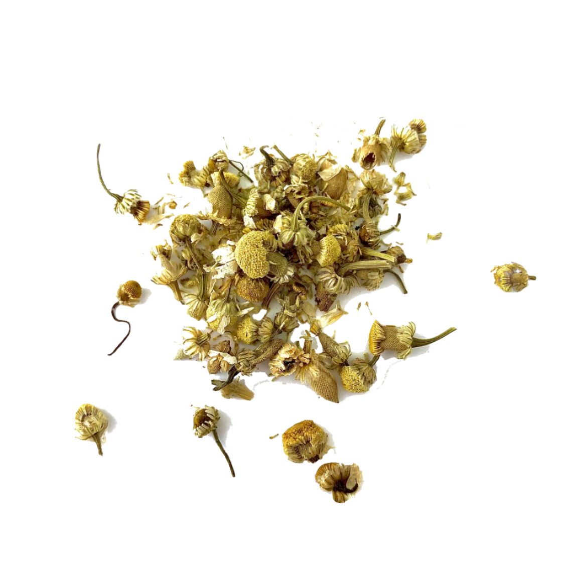 Chamomile