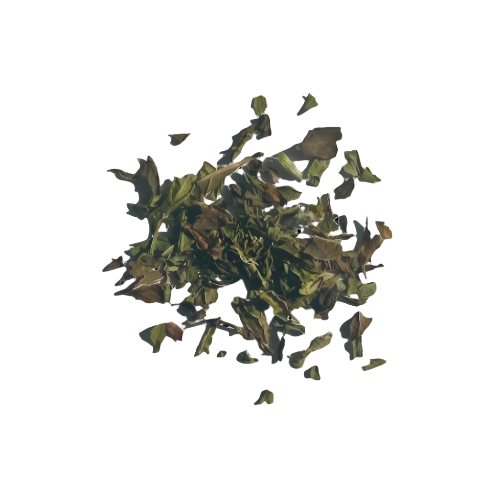 Peppermint